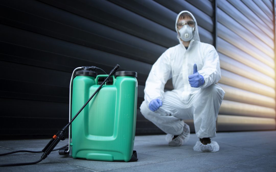 Cleaning Chemical Safety: Handling, Storage And Disposal